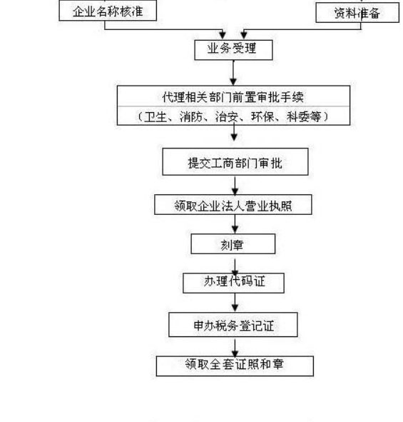 办理流程